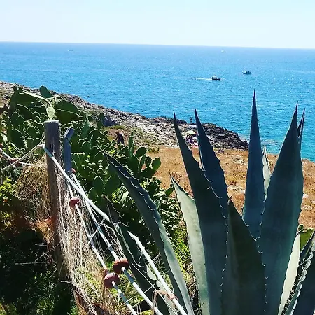 Roberti Corsano (Apulia)